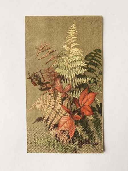 Hovedbilde Bregne - Buffet Serviett