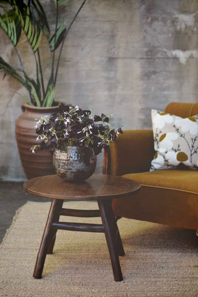 Hovedbilde Brunt Salongbord