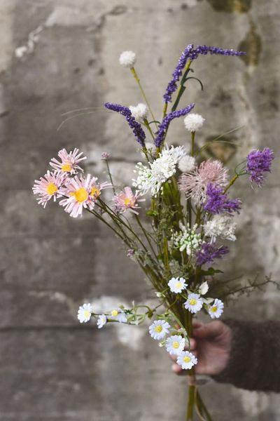 Hovedbilde Dus Rosa - Sommerbukett 