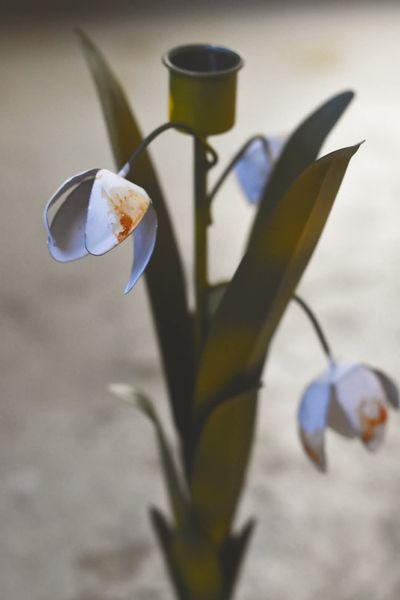 Hovedbilde Hvit- Snøklokke Lysestake 30 ...
