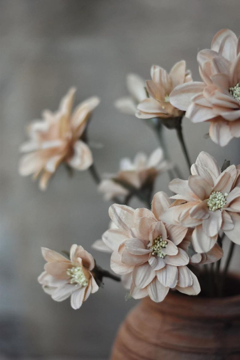 Beige - Dahlia Snittblomst 70 cm